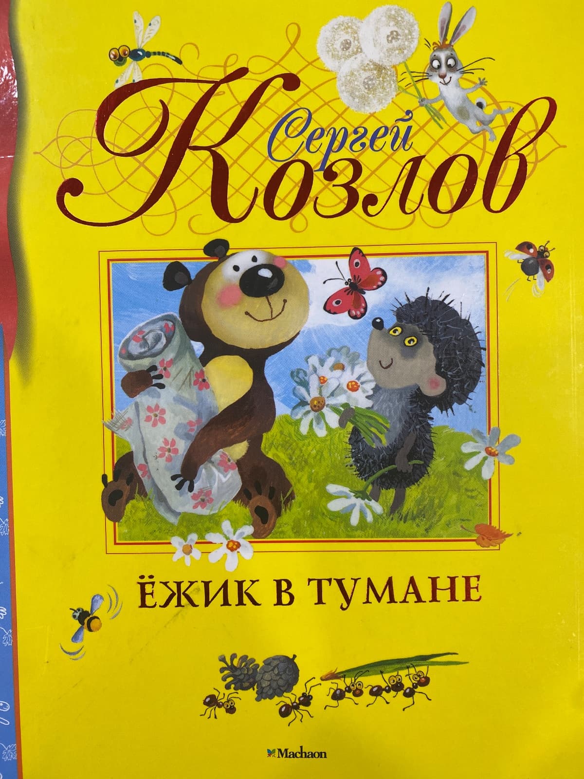 Ёжик в тумане