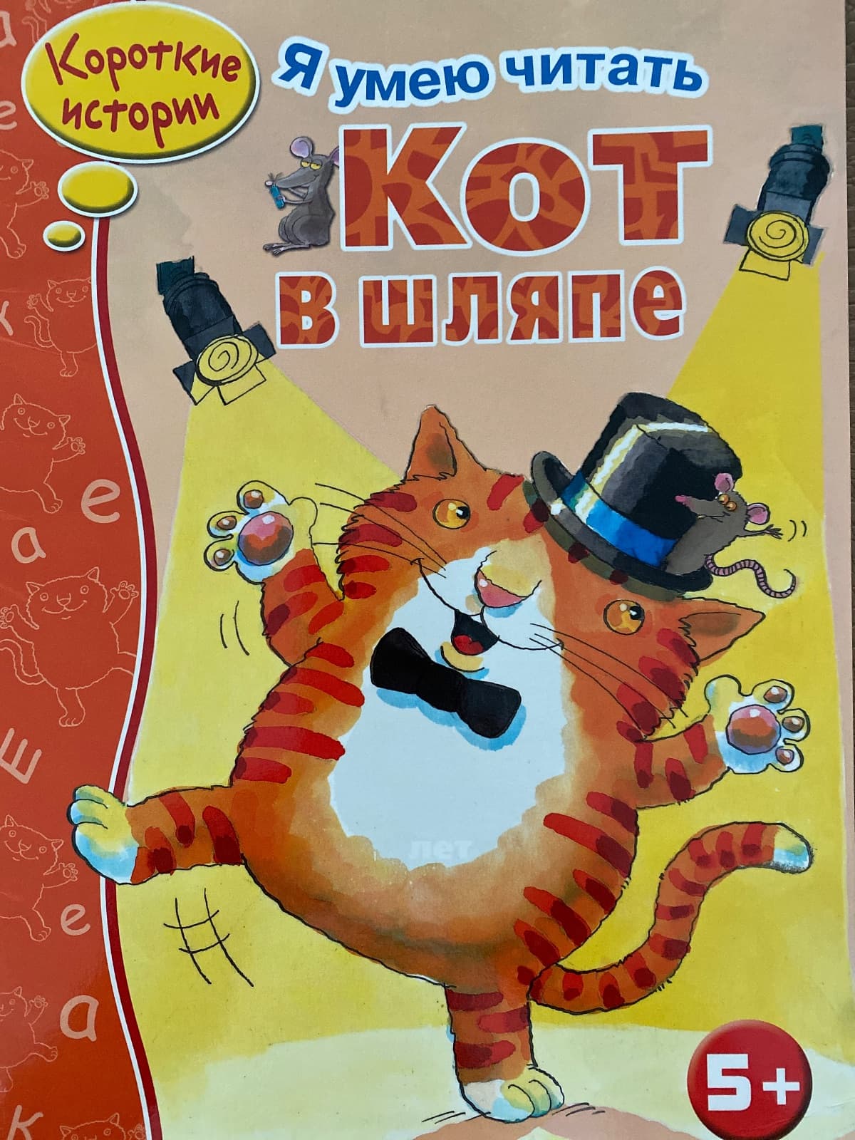 Кот в шляпе