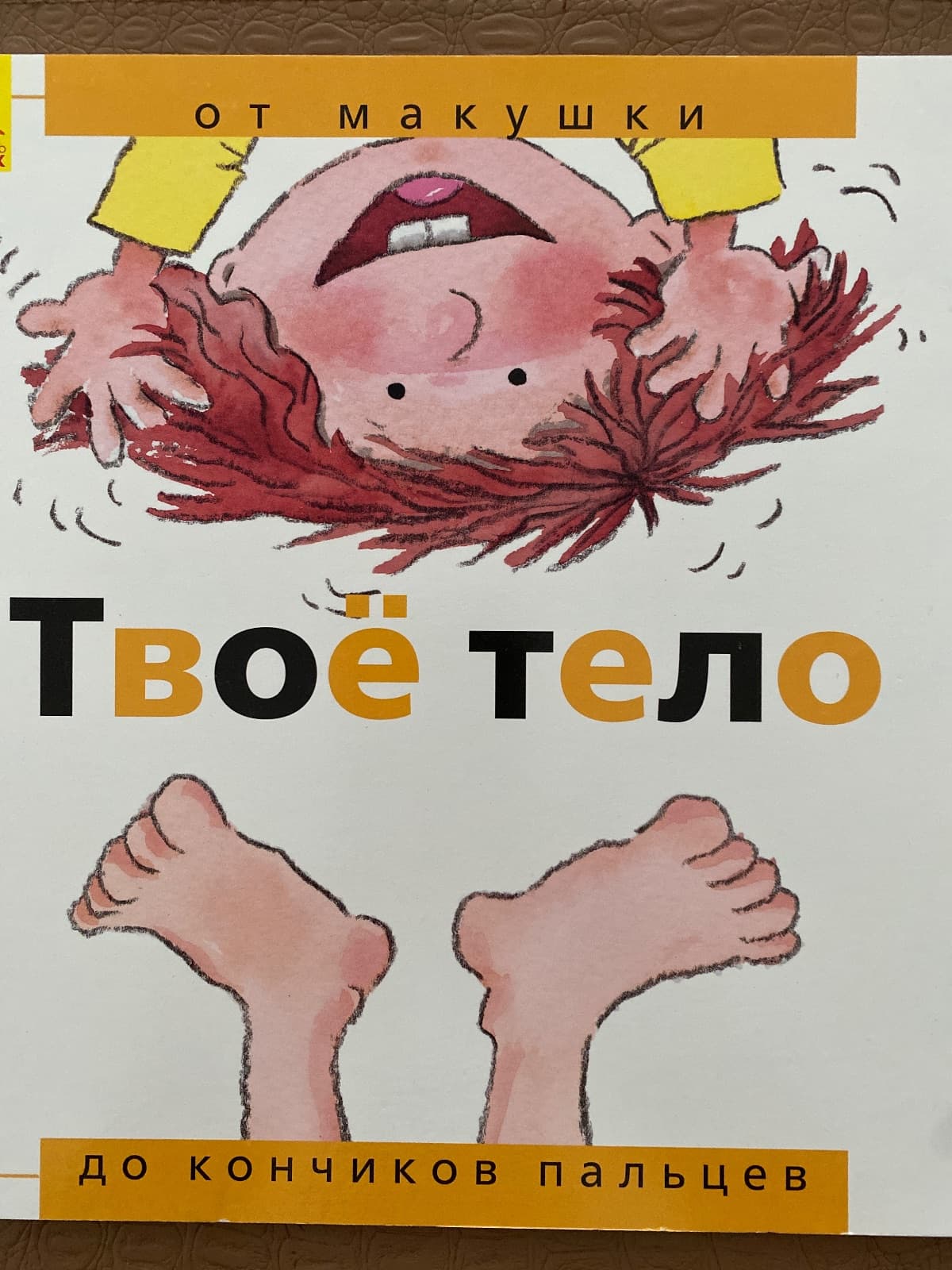 Твое тело от макушки до кончиков пальцев